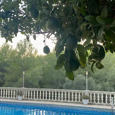 La Casa Dels Boscos