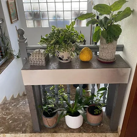 La Casa Dels Boscos טראגונה