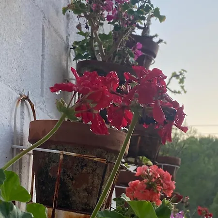 Tatil Evi La Casa Dels Boscos *