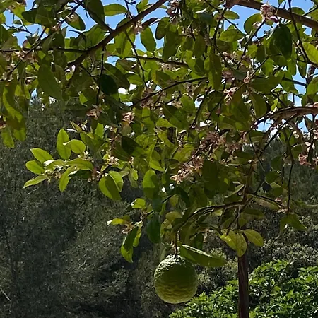 Tatil Evi La Casa Dels Boscos